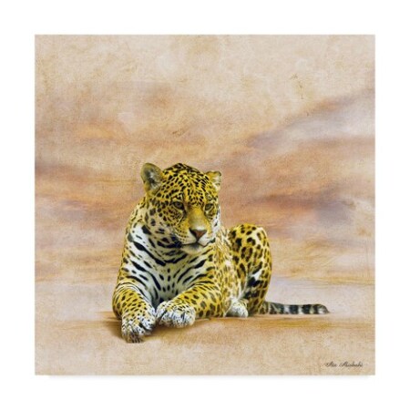 Trademark Fine Art Ata Alishahi 'The Leopard 2A' Canvas Art, 35x35 ALI22368-C3535GG
